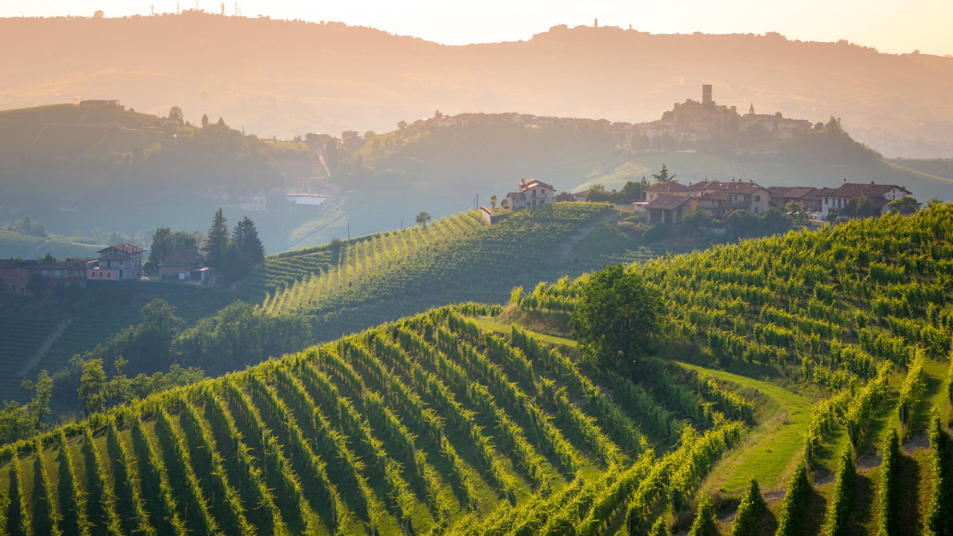 Turin and Langhe to be discovered